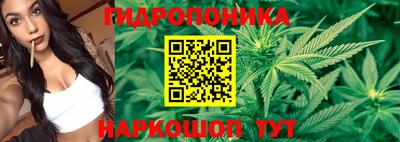соль ск Кимры
