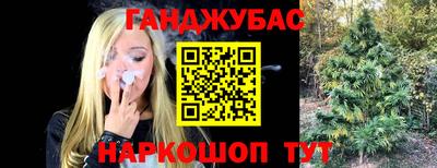 спиды Кинель