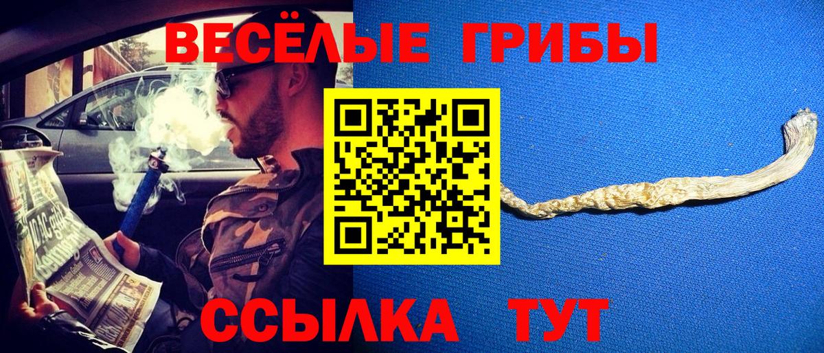 Галлюциногенные грибы Psilocybine cubensis Бирск